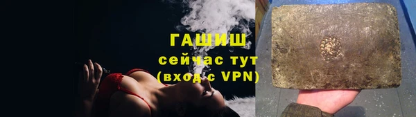прущие грибы Абаза