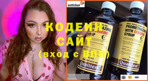 прущие грибы Ладушкин