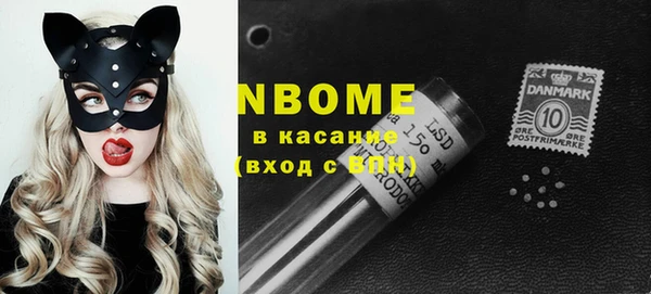 прущие грибы Ладушкин
