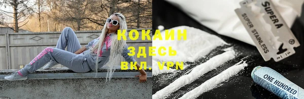 прущие грибы Ладушкин
